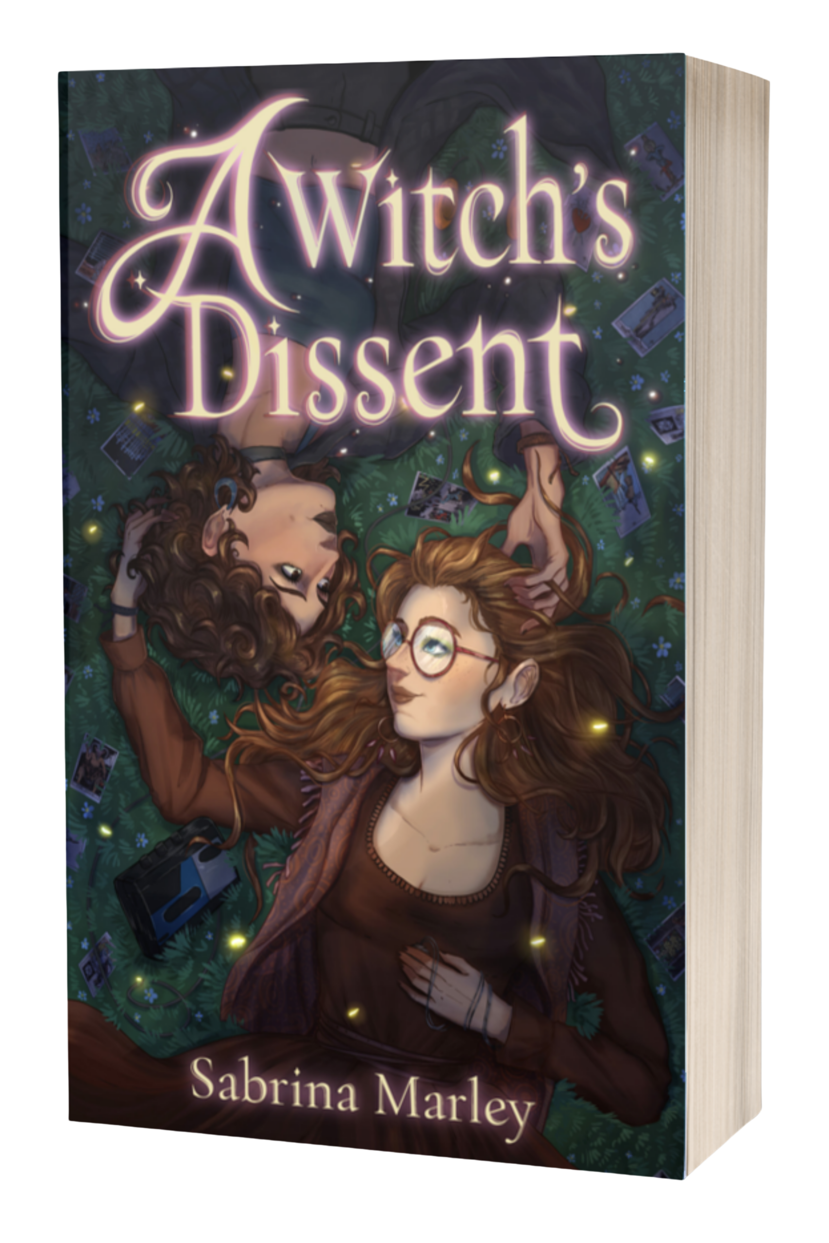dissent3d